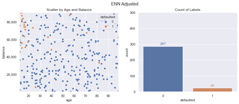 ENN Adjusted Training Data
